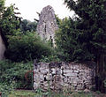 Burgruine Neidenstein