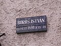 Boros István, ?