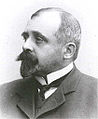 Litteraturhistoriker Gerhard Gran (1856–1925)