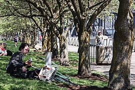 Lunch in the park