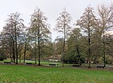 A view of Josaphat Park