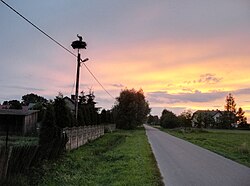 View of a road in Pniowe