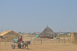 Abyei'den bir görünüm (2009)