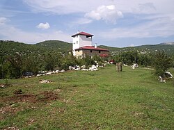 village in the municipality of Nikšić, Montenegro