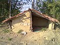 A hut built on a farm in the village