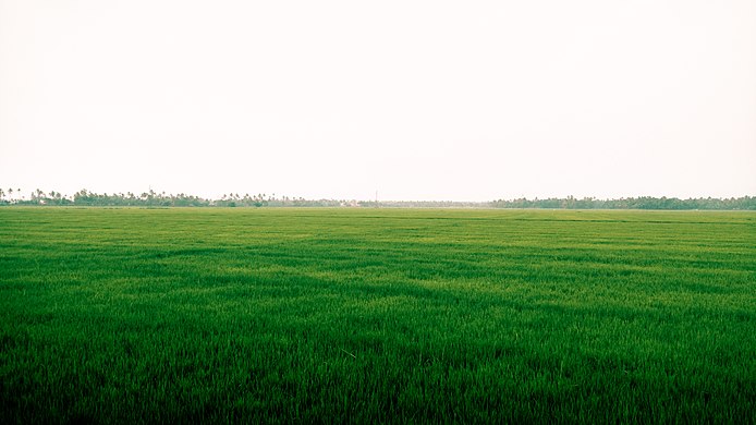 Alappuzha