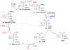 Calvin cycle.svg