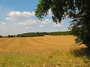 Landschaft am Gehrdener Berg