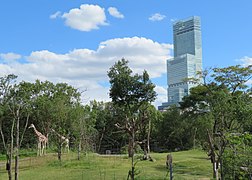 Giraffenanlage vor dem Abeno-Harukas-Hochhaus