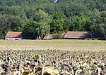 Waldstraße in Angern (Herzogenburg)