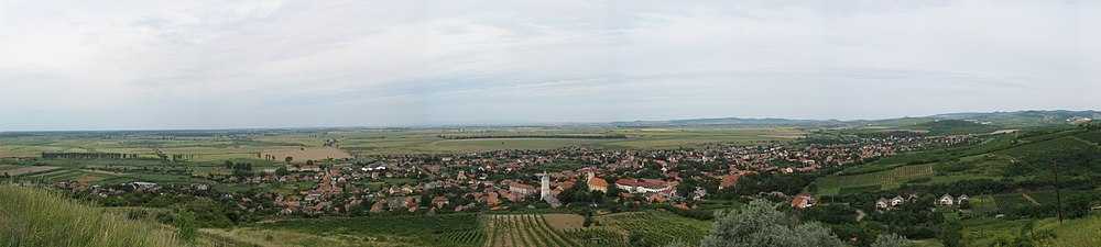 Tarcali panoráma a Kopasz-hegyről