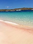 Pink beach