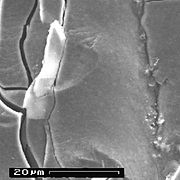 Anode surface with grown plaques of aluminum hydroxide