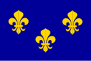 Fransa Krallığı bayrağı veya Bourbon Hanedanı bayrağı [4]