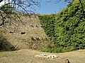 Ruine Altsachsenheim, Inneres