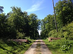 Schotterweg bei Weidelsburg