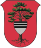 Coat of arms of Týniště nad Orlicí