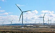 Wind turbines at Whitelee Wind Farm