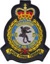 673 (AH TRG) Crest