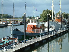 De Aalscholver in de Houthaven te Zutphen