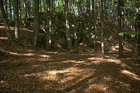 Bild 6: Terrassierte Fläche unterhalb des Burgbereiches, links die Felsrampe, im Hintergrund der Berggipfel mit dem Burgstall