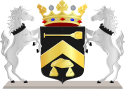 Wappen der Gemeinde Borger-Odoorn