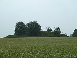 Tumulus van Blehen