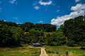 Hochstädter Wiesen und Wälder