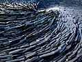 Moselle Rhine Whirlpool