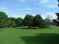 Lapangan dan mekatronika