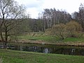 Bahndamm der ehemaligen Oberhohndorf-Reinsdorfer Kohlenbahn an abgerissener Muldenbrücke