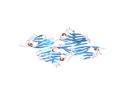 1ya5: Crystal structure of the titin domains z1z2 in complex with telethonin