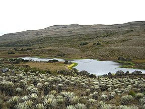 Páramo de Sumapaz