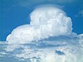 Cumulonimbus mit Pileus über dem Bodensee