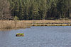 Kammerweiher