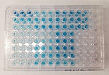 96 kuyucuklu plaka üzerinde ELISA örneği