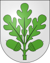 Wappen von Eichberg