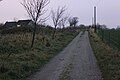 Der Vogelsanger Feldweg zur Nacht