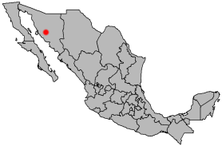 Letak Hermosillo di Mexico