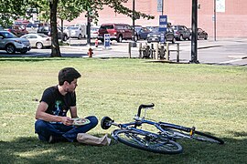 Lunch in the park