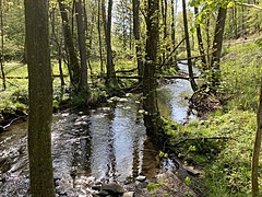 Eschbach – Jagdrevier für Eisvögel und Wasseramseln