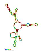 P29: Secondary structure taken from the Rfam database. Family RF01675