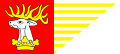 Flag of Lubelski County