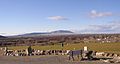 The view of Rattlesnake Mountain from the Horn Rapids Golf Course in Richland. (January 2006)