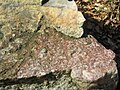 Quarz- und Schwerspatkristalle auf einem verkieselten Barytfelsen im Steinböhl-Wald
