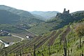 Kremstal mit Ruine Senftenberg