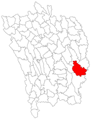 Location in Vaslui County