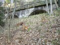 Ehemaliger Kleinbahnstreckenteil Naundorf–Colmnitz im Tharandter Wald