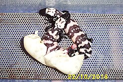 Gila monster twins hatching