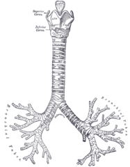 Ilustracja